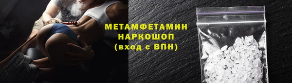 индика Волоколамск