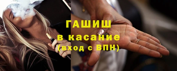индика Волоколамск