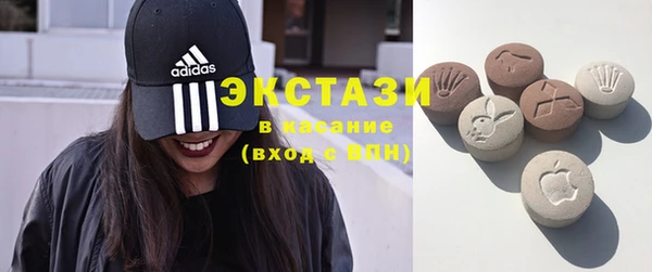 индика Волоколамск