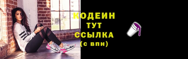 индика Волоколамск