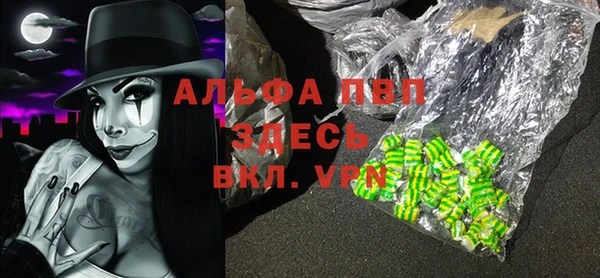 индика Волоколамск