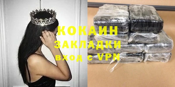 индика Волоколамск