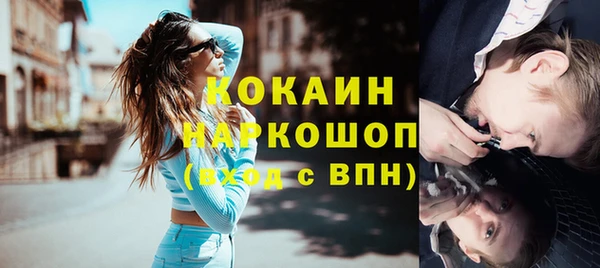 индика Волоколамск